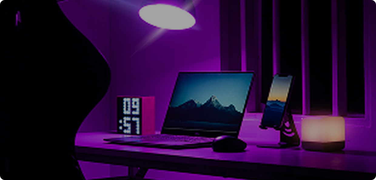 Gaming Setup